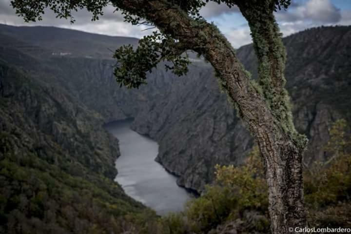 Casa Pepe Hotell Parada del Sil Eksteriør bilde